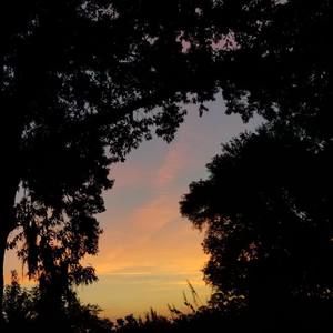 Meet your Posher, Rachael